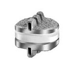 SECURE-C Cervical Artificial Disc