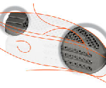 dolfyn® lumbar Cage