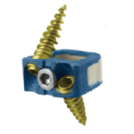 Remond Polymer Cervical Cage