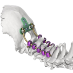 SYNAPSE™ System